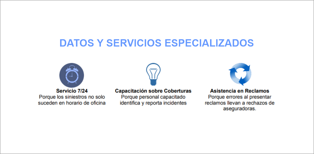 Consultores Maya